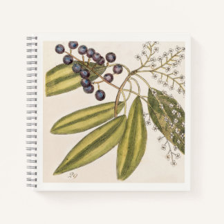 Cuaderno Ilustración botánica azul y blanca del siglo XVIII