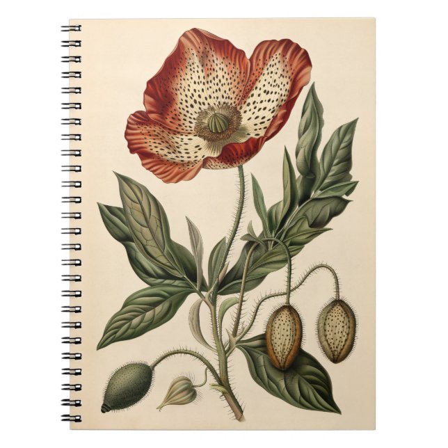 Cuaderno Ilustracion botánico de amapola de época (Frente)