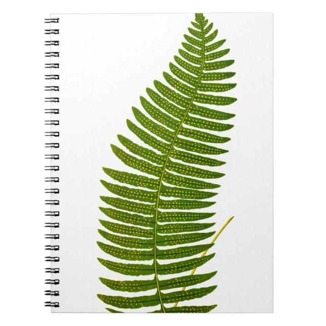 Cuaderno Ilustracion botánico de la hoja verde y amarilla (Frente)