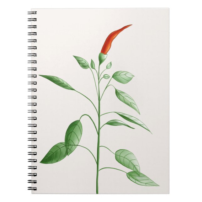 Cuaderno Ilustracion botánico de la planta de la pimienta (Frente)
