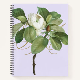 Cuaderno Ilustracion Botánico Magnolia Vintage