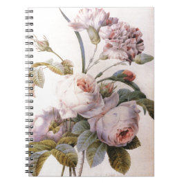 Cuaderno ilustracion botánico vintage, rosa rosado