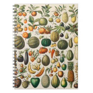 Cuaderno Ilustración científica botánica de frutas y verdur