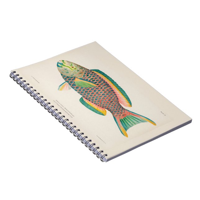 Cuaderno Ilustracion Científico de Pescado Vintage (Lado Derecho)