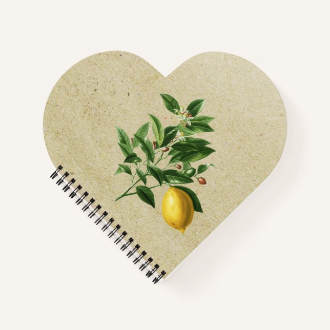 Cuaderno Ilustracion Citrus Limonium (Anverso)