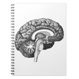 Cuaderno Ilustracion de anatomía médica ventilado cerebro h