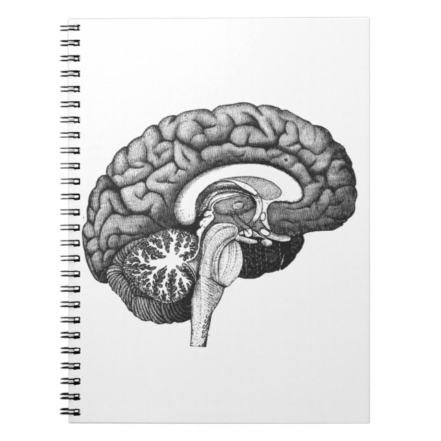 Cuaderno Ilustracion de anatomía médica ventilado cerebro h (Frente)