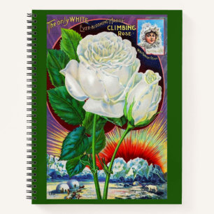 Cuaderno ilustracion de catálogo rosa de los años 1890 Whit