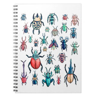 Cuaderno Ilustracion de escarabajos de color acuático