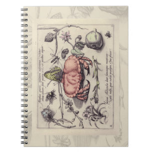 Cuaderno Ilustracion de flor de insectos botánicos de cangr