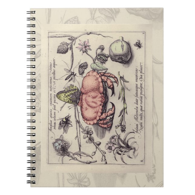 Cuaderno Ilustracion de flor de insectos botánicos de cangr (Frente)