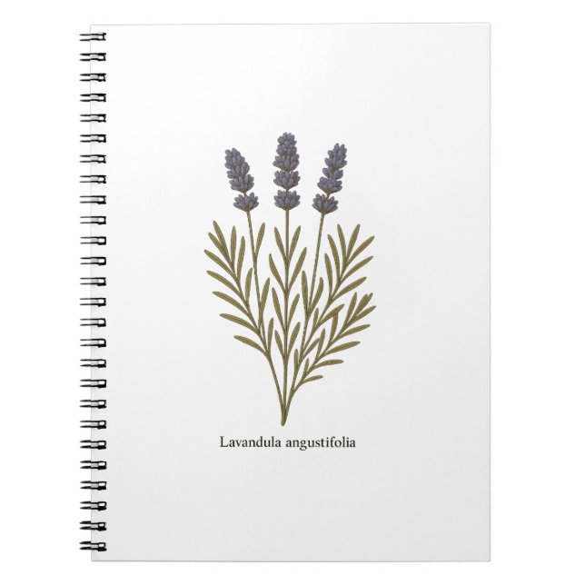 Cuaderno Ilustracion de flores de lavanda de época (Frente)