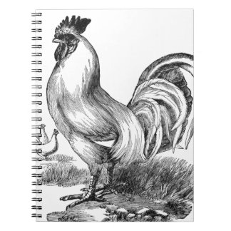 Cuaderno Ilustracion de gallo de época