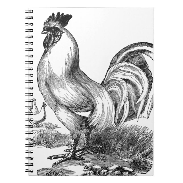 Cuaderno Ilustracion de gallo de época (Frente)
