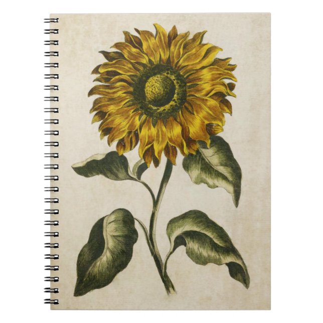 Cuaderno Ilustracion de girasol floral botánico (Frente)