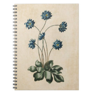 Cuaderno Ilustracion de Hipatica Froral Vintage