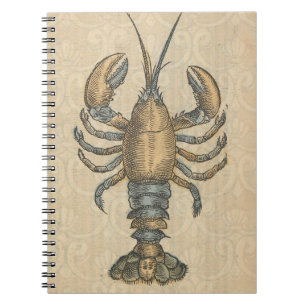 Cuaderno Ilustración de langosta antigua mariscos de Maine