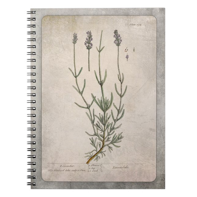 Cuaderno Ilustracion de lavanda con textura (Frente)