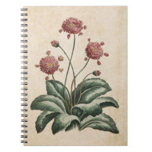 Cuaderno Ilustracion de margarita floral bruta vintage