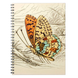 Cuaderno Ilustracion de mariposa de época, Naranja y beige