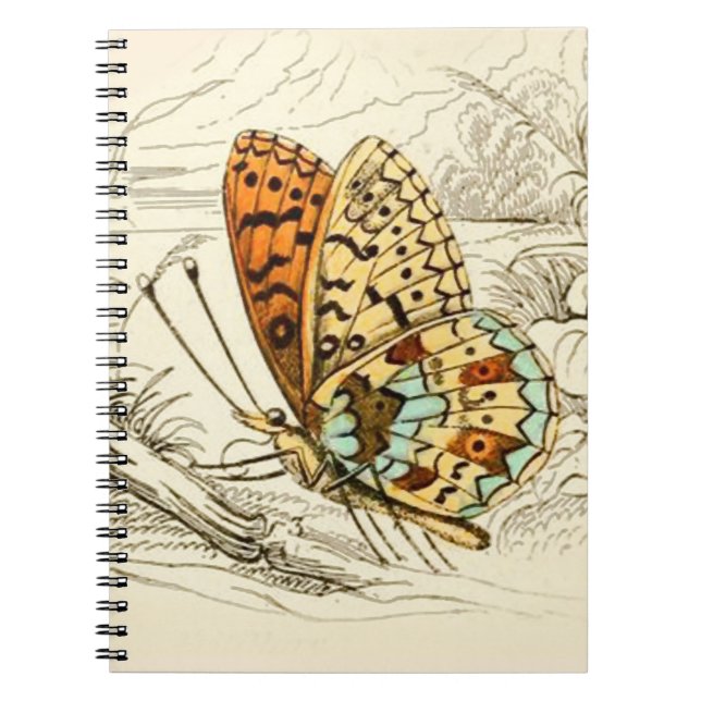 Cuaderno Ilustracion de mariposa de época, Naranja y beige (Frente)