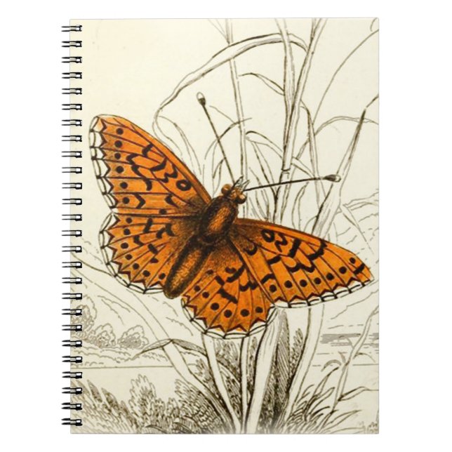 Cuaderno Ilustracion de mariposa vintage, Naranja y negro (Frente)