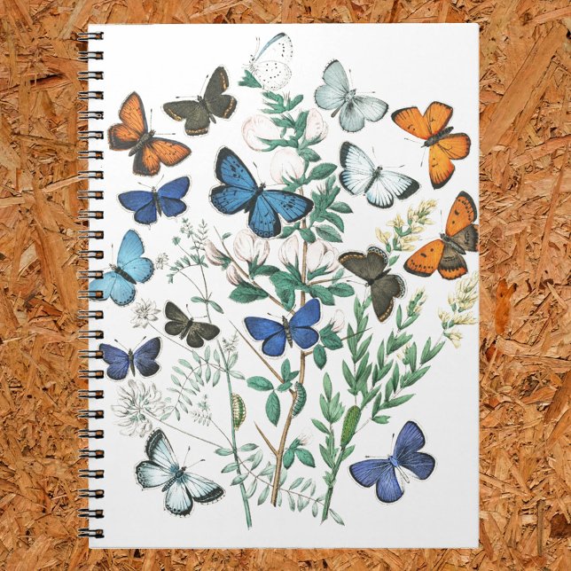 Cuaderno Ilustración de mariposas vintage en una (Subido por el creador)