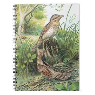 Cuaderno Ilustracion de pájaro cosmético euroasiático