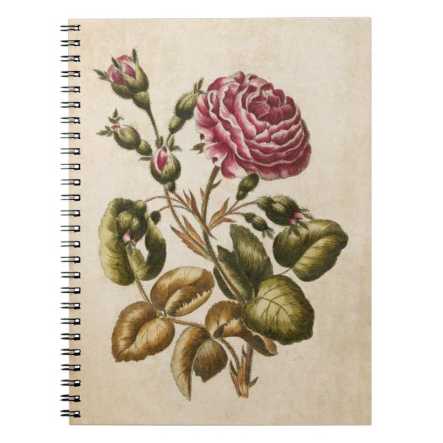 Cuaderno Ilustracion de Rosa floral botánico (Frente)