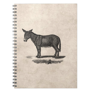 Cuaderno Ilustracion del burro del vintage - burros 1800's