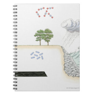 Cuaderno Ilustracion del ciclo de carbono en la tierra