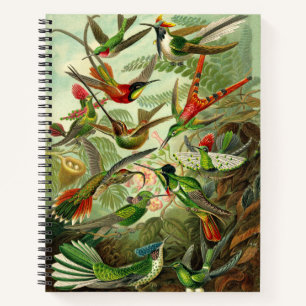 Cuaderno Ilustración del colibrí de Ernst Haeckel 8.5X11"