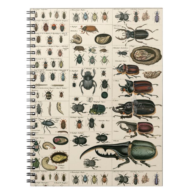 Cuaderno Ilustracion del escarabajo del vintage (Frente)