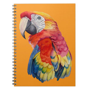 Cuaderno Ilustración en Acuarela de Loro Colorido