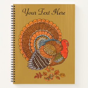 Cuaderno Ilustracion Masculino Turquía Fancy Colorful Feath