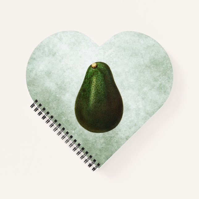 Cuaderno Ilustracion Persea Aguacate (Anverso)