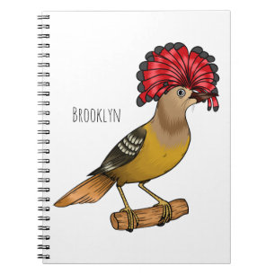 Cuaderno Ilustracion personalizado de aves Royal flycatcher