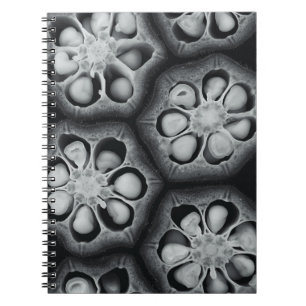 Cuaderno Ilustracion vegetal verde y negro