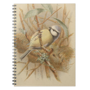 Cuaderno Ilustracion vintage de Bluetit