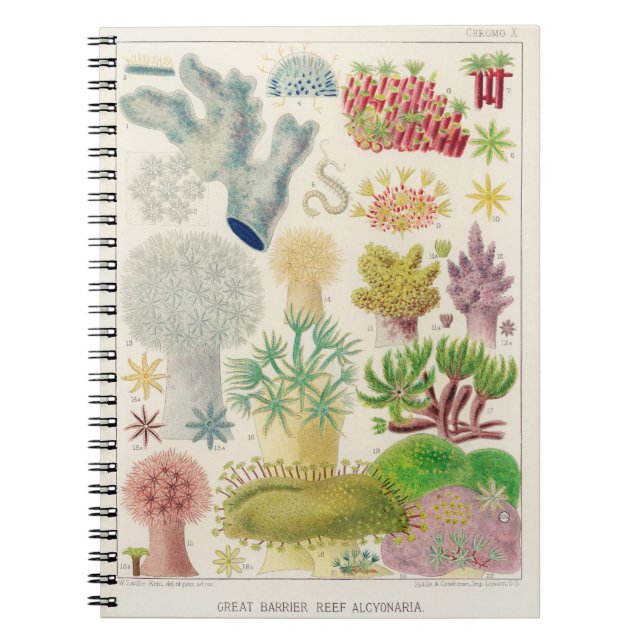 Cuaderno Ilustracion Vintage de la biología marina australi (Frente)