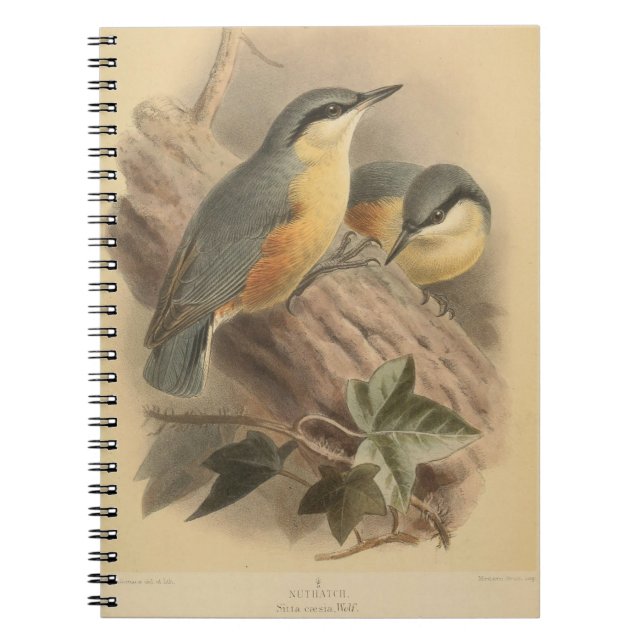 Cuaderno Ilustracion vintage de Nuthatch (Frente)