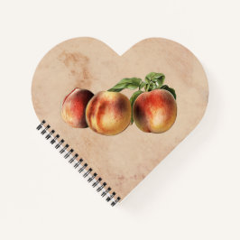 Cuaderno Ilustracion vintage de Peaches