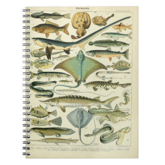 Cuaderno Ilustracion Vintage de Poissons