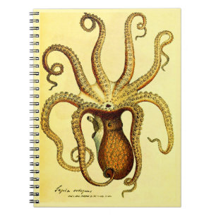 Cuaderno Ilustración Vintage de Pulpo Diario de Campo Osc