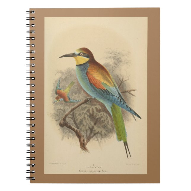 Cuaderno Ilustracion vintage del abejorro europeo (Frente)