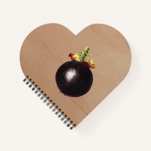 Cuaderno Ilustracion Vintage Mangosteen