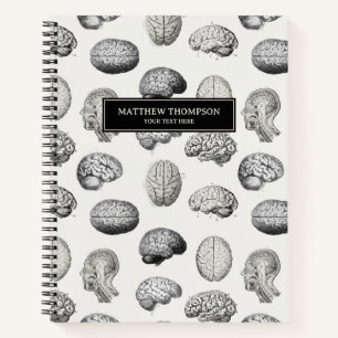 Cuaderno Ilustraciones Antiguas de Anatomía Cerebral Biolog