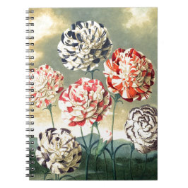 Cuaderno Ilustraciones Florales Vintage