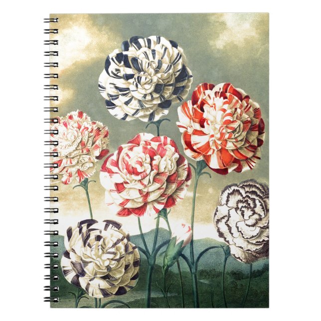 Cuaderno Ilustraciones Florales Vintage (Frente)