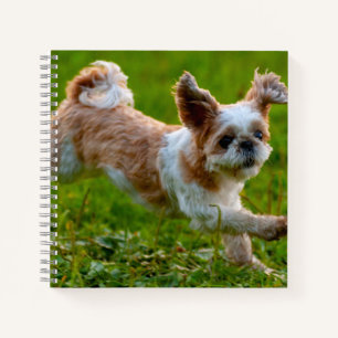 Cuaderno Imagen corta que corre a Shih Tzu Dog